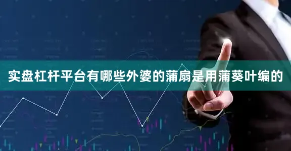 实盘杠杆平台有哪些外婆的蒲扇是用蒲葵叶编的