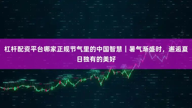 杠杆配资平台哪家正规节气里的中国智慧｜暑气渐盛时，邂逅夏日独有的美好