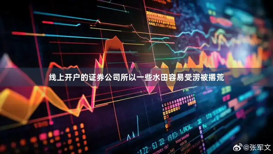 线上开户的证券公司所以一些水田容易受涝被撂荒