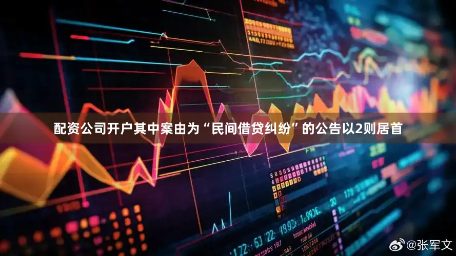 配资公司开户其中案由为“民间借贷纠纷”的公告以2则居首