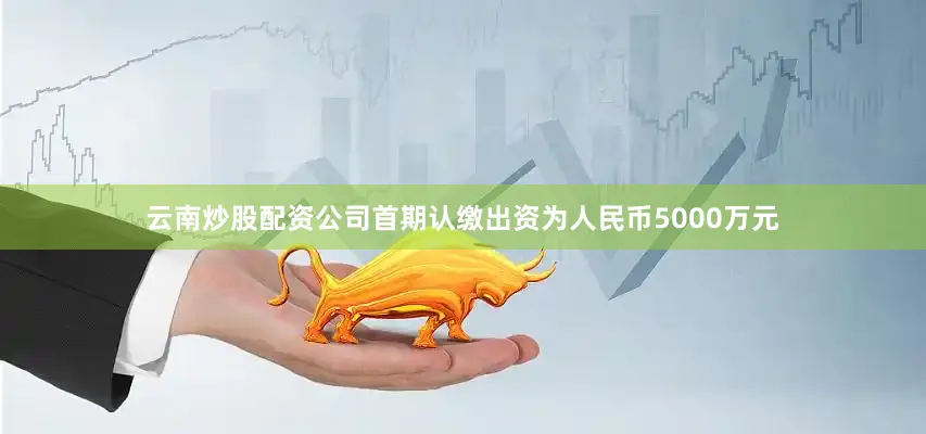 云南炒股配资公司首期认缴出资为人民币5000万元